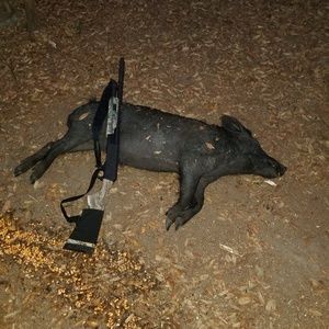 Meet your Posher, Jay